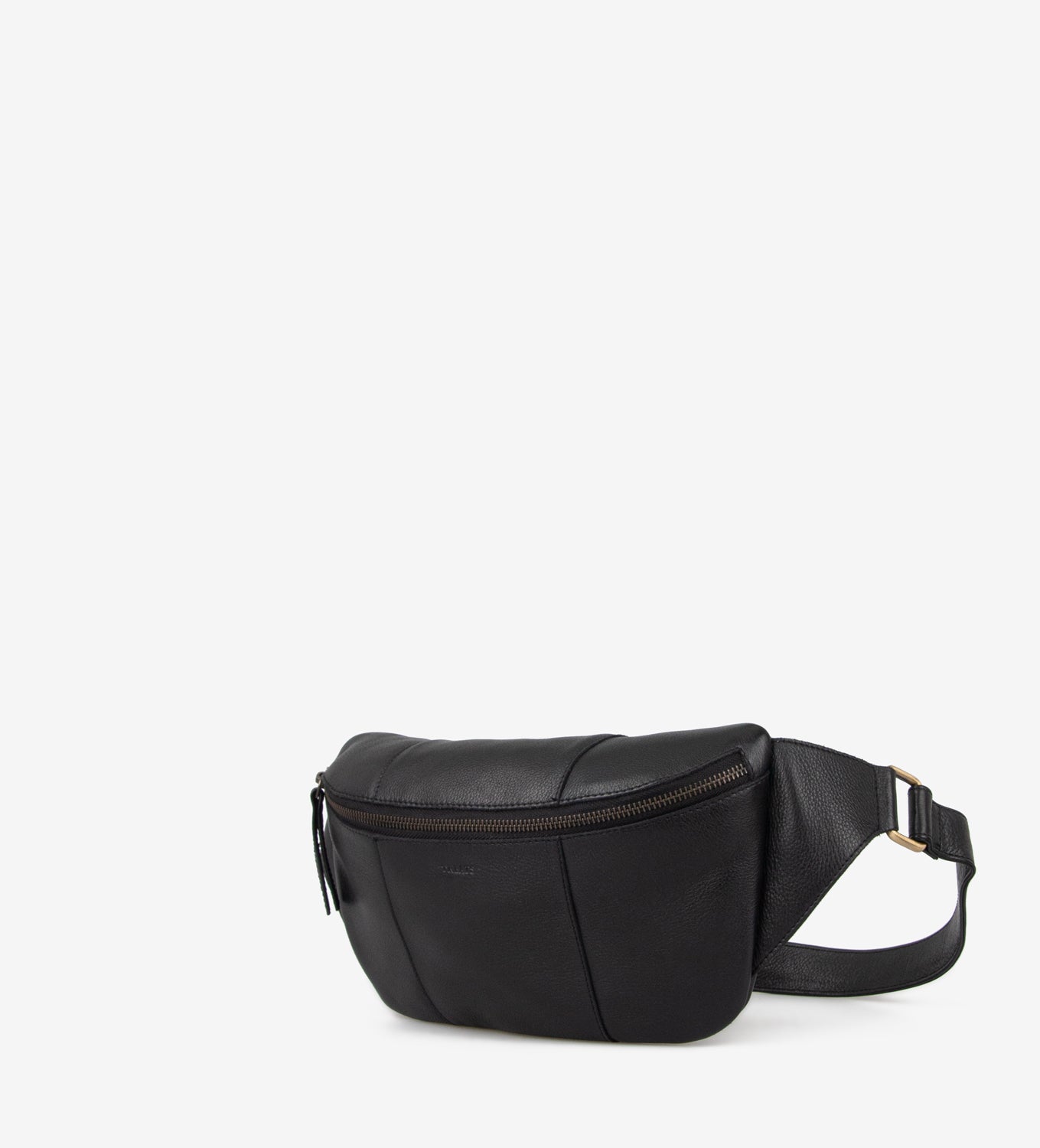Fanny pack