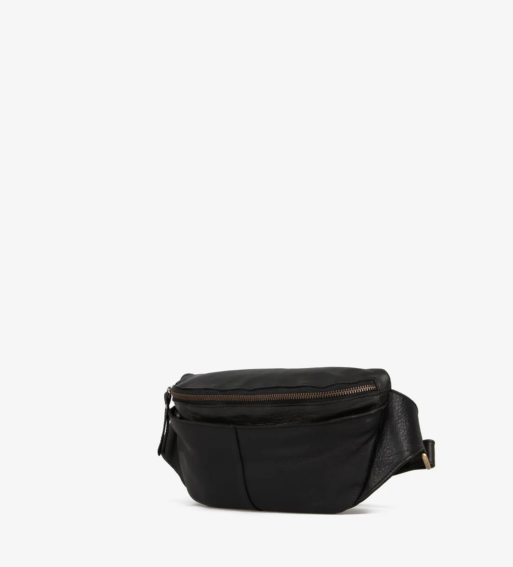 Fanny pack