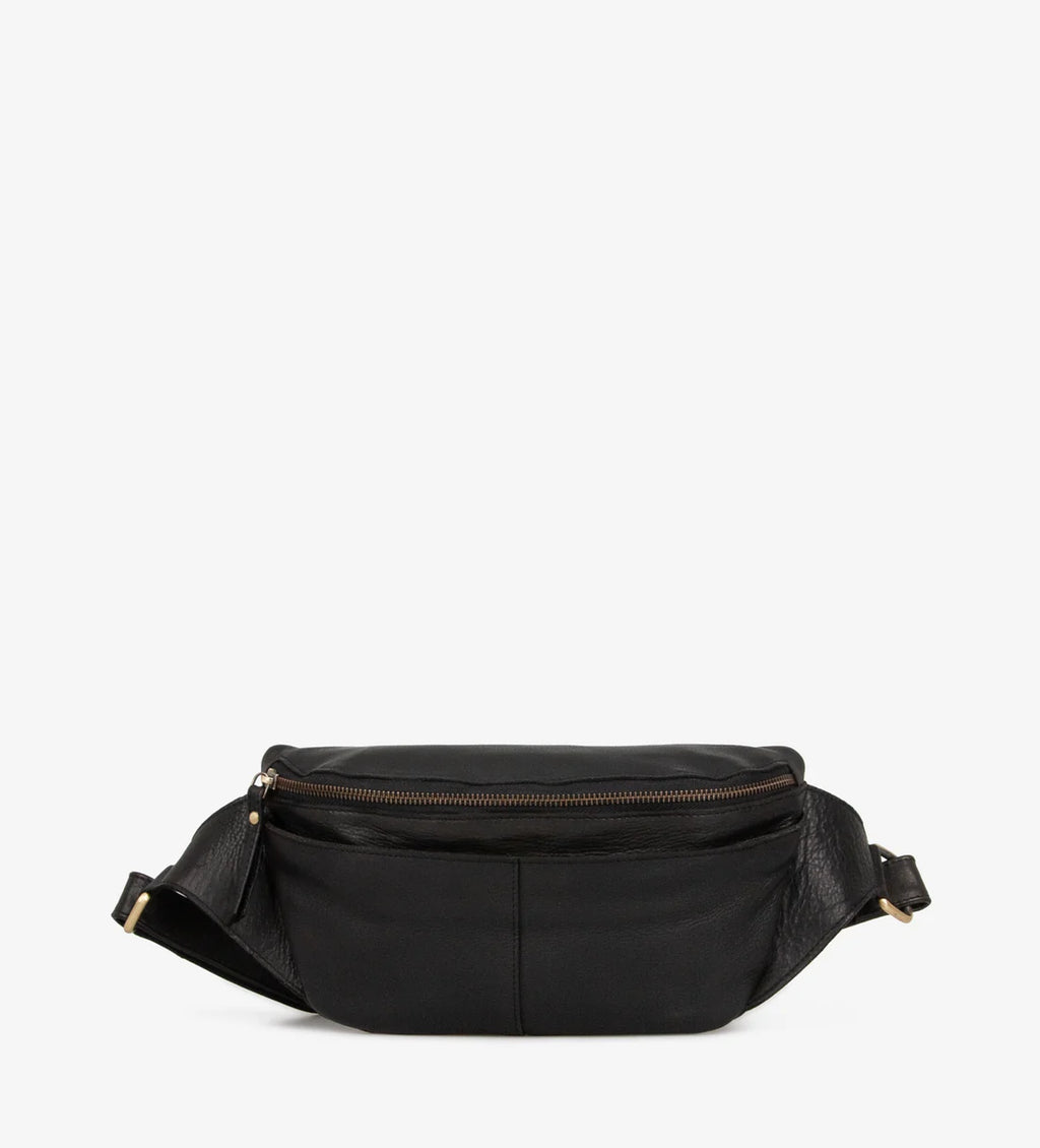 Fanny pack