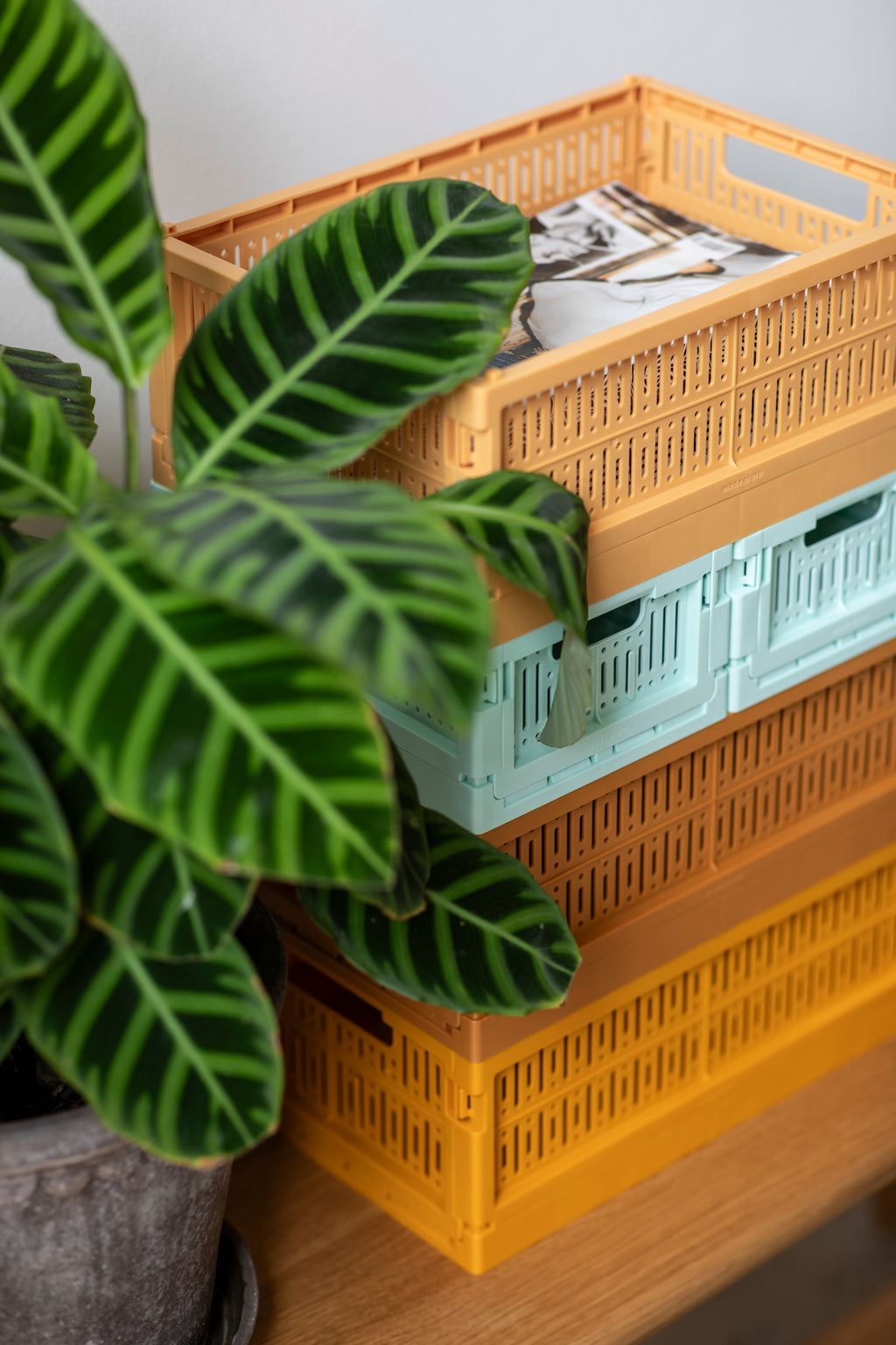 Krat M (veel kleuren)