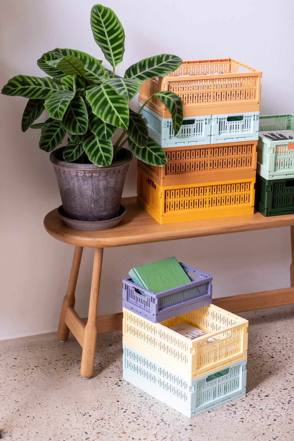 Krat M (veel kleuren)